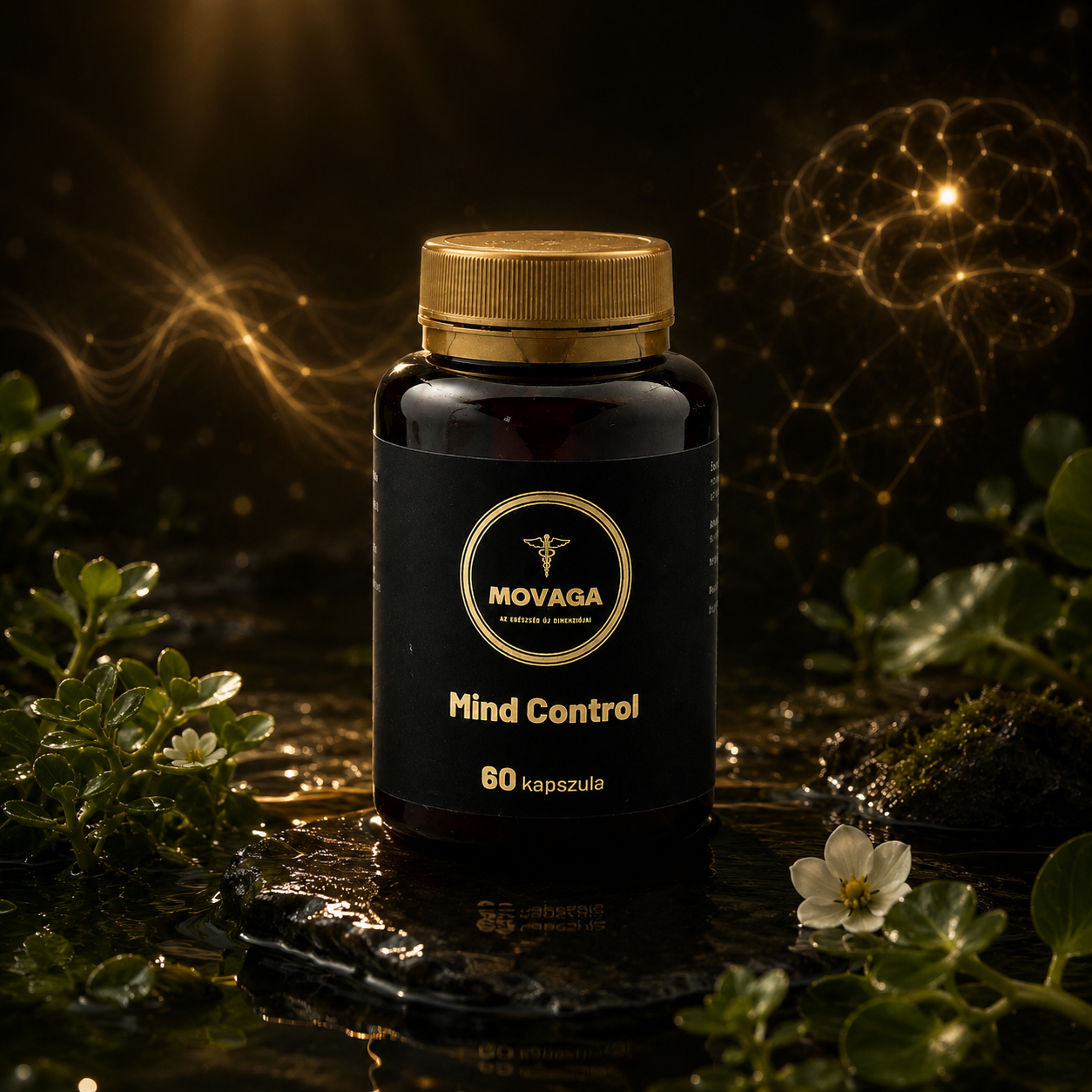 Mind Control 2